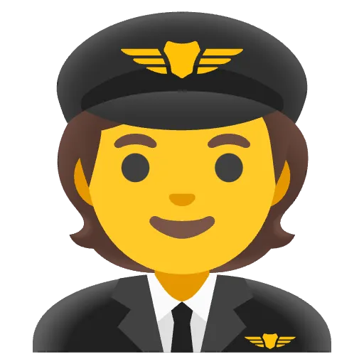 Step 2 — Meet Your Flight Instructor icon