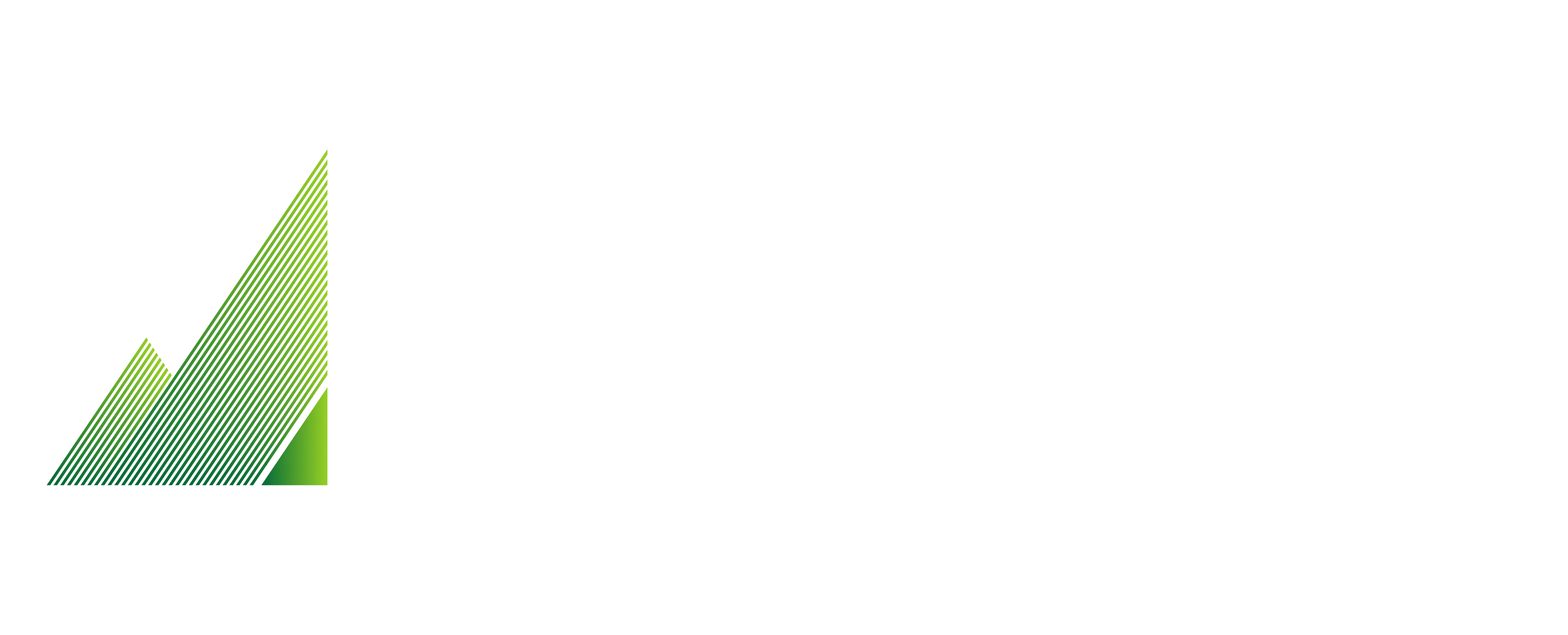 NV Flight Logo