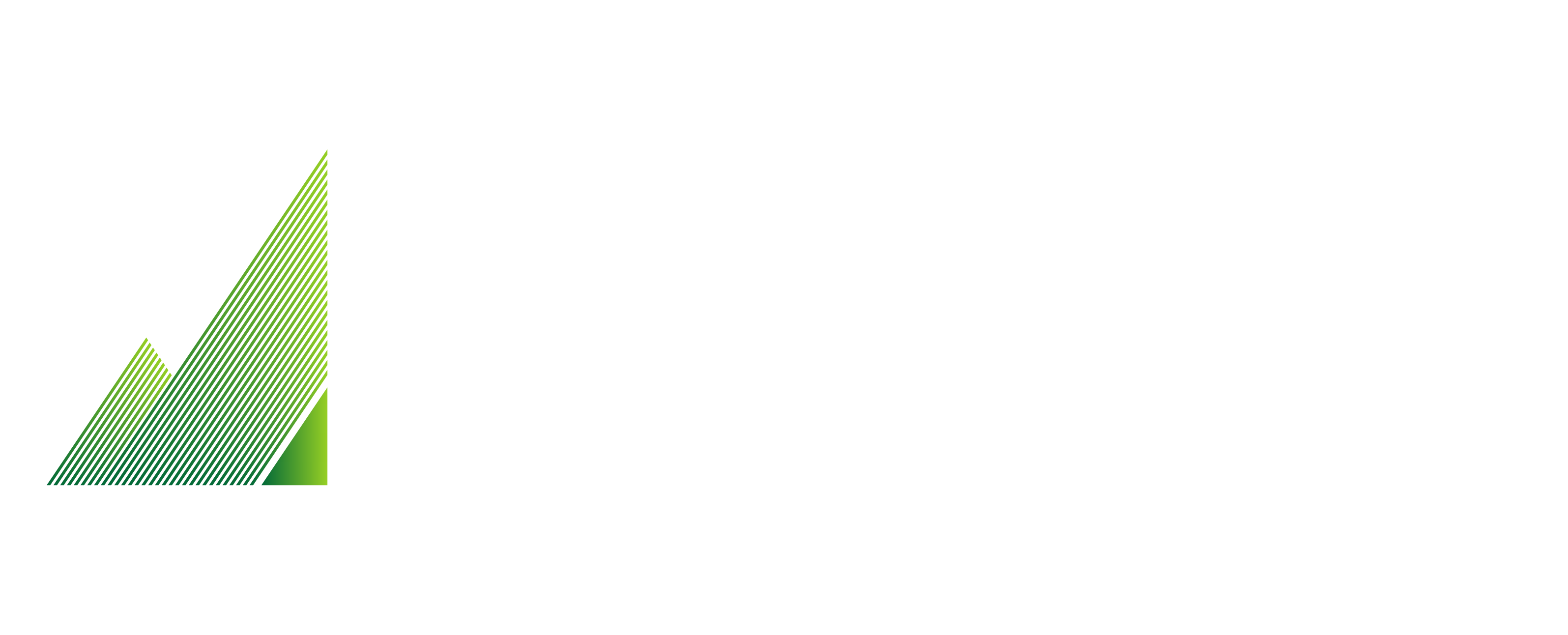 NV Flight School